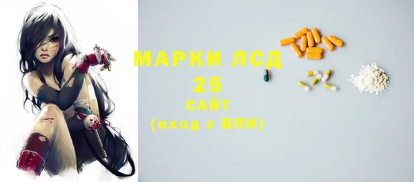 стаф Болотное