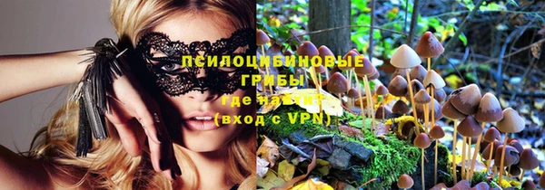 стаф Болотное