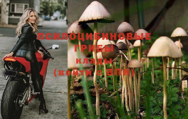 скорость Новодвинск