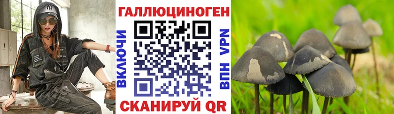 Псилоцибиновые грибы мицелий  Инсар 