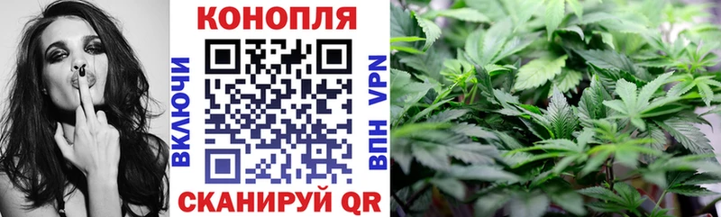 даркнет наркотические препараты  Инсар  МАРИХУАНА индика 